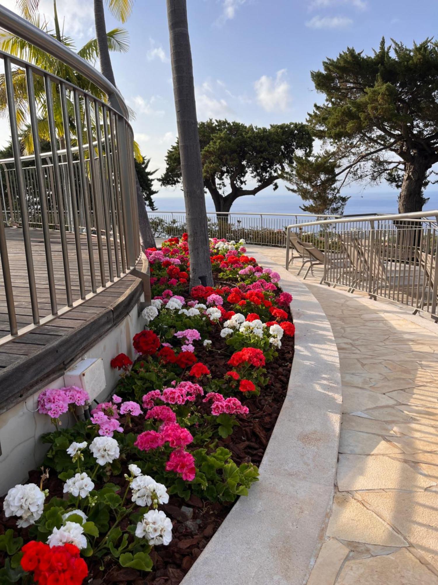 Hotel Quinta Funchal Gardens - Adults Only Extérieur photo